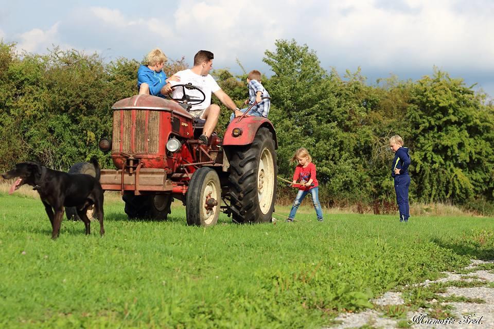 Camping Le Pommier Rustique Hotel Yvoir Bagian luar foto